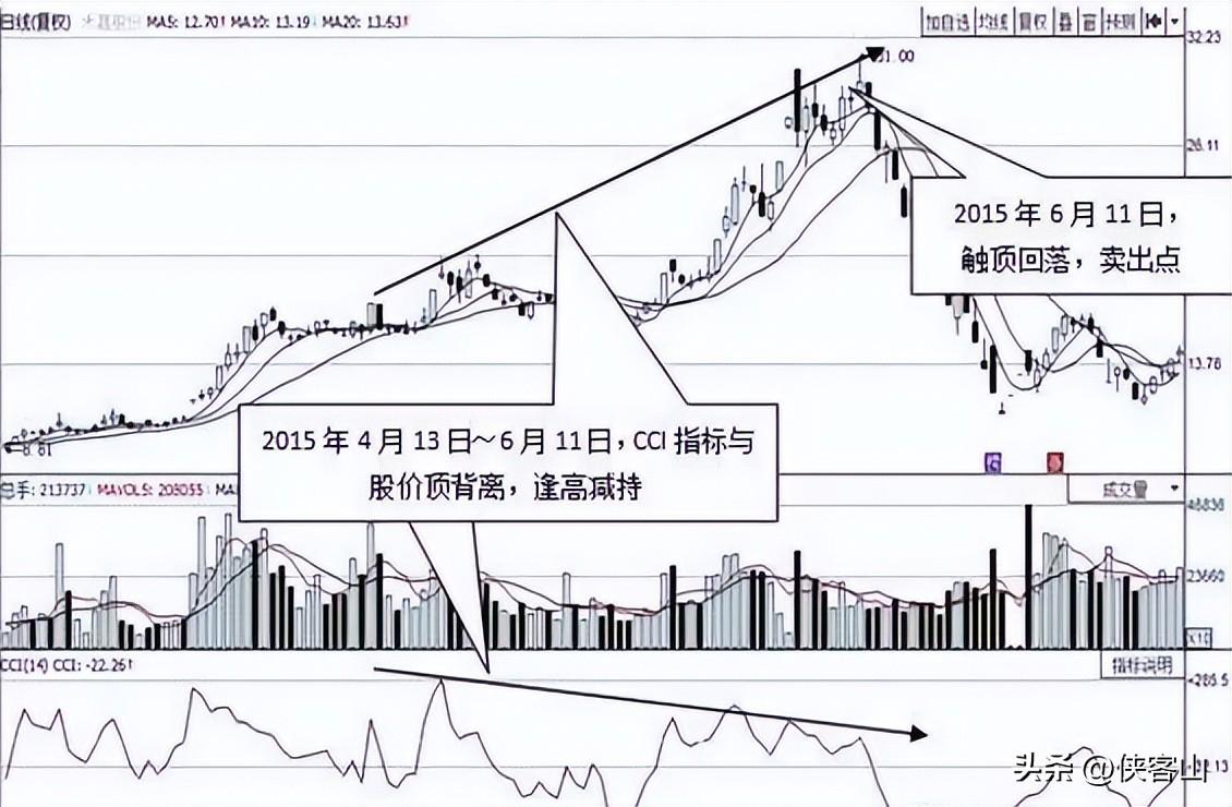 禾嘉股份最新動態(tài)全面解析，深度觀點闡述與分析