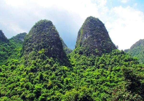 深圳紅山片區(qū)規(guī)劃揭秘，時代印記與未來藍(lán)圖探索