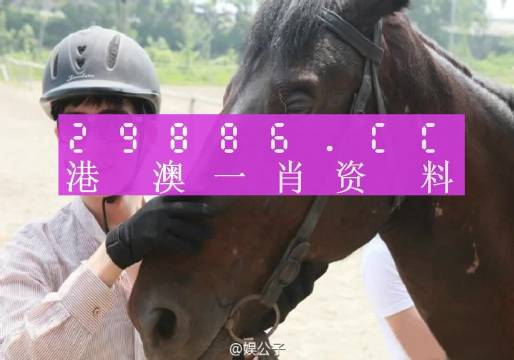 澳門必中一肖一碼第一個(gè)r,方案優(yōu)化實(shí)施_LYG34.436SE版