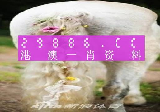 香港精選一肖一碼全年資料,科學(xué)解說指法律_DRP34.944開放版