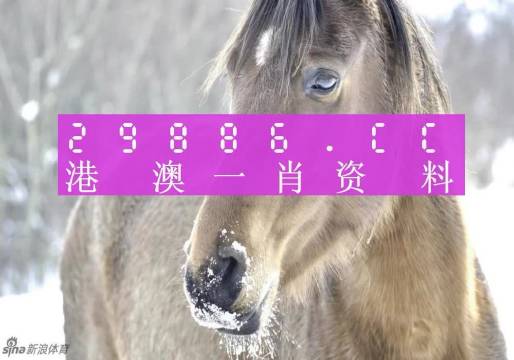 澳門(mén)一肖一碼100%,標(biāo)準(zhǔn)執(zhí)行具體評(píng)價(jià)_KPB99.182實(shí)驗(yàn)版