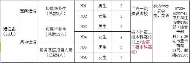 潛江楊市最新招聘信息，時代脈搏與地方繁榮同步更新