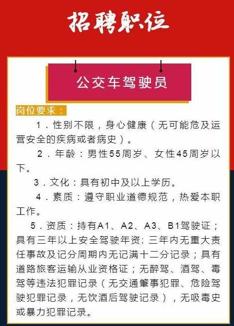 無棣司機(jī)最新招聘信息詳解，招聘步驟與指南