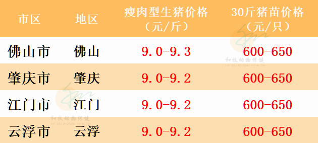 梅州市最新生豬價(jià)格指南，最新生豬市場(chǎng)行情解析