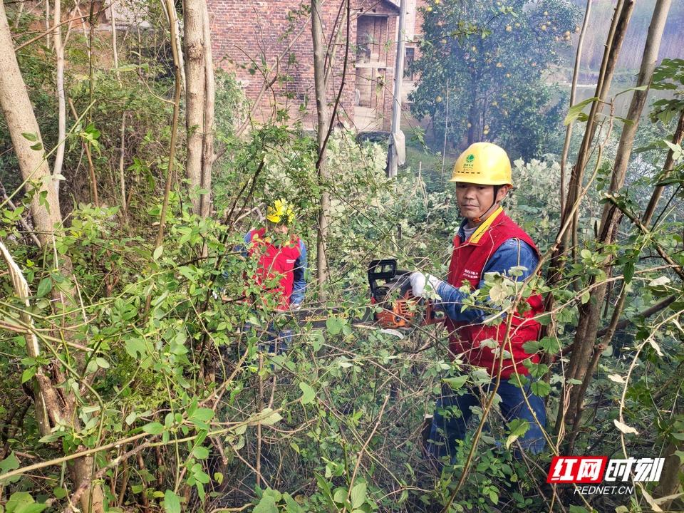 祁東紅網(wǎng)最新動(dòng)態(tài)，一網(wǎng)情深，分享溫馨日常小趣事