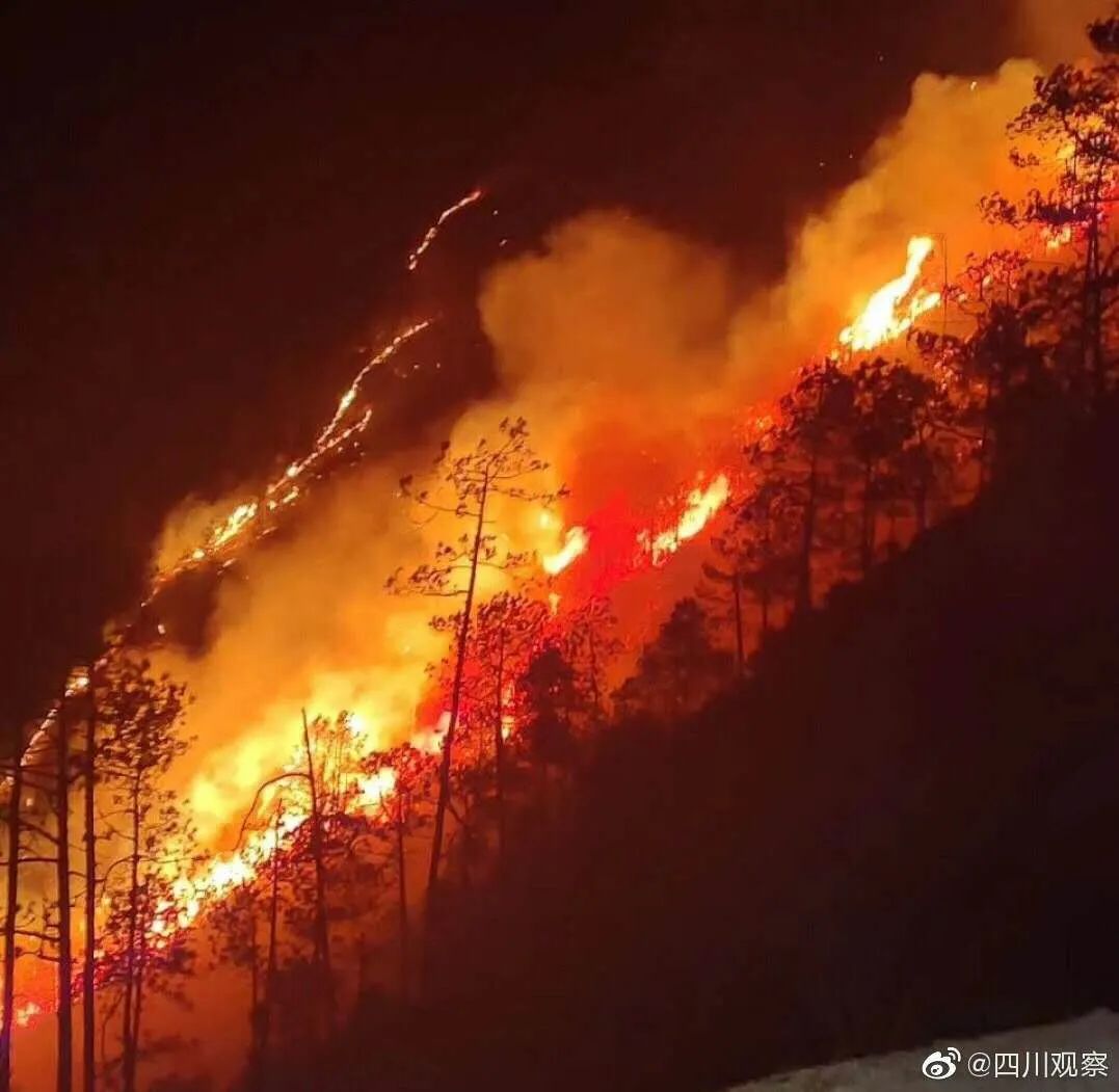 最新西昌山火,最新西昌山火????，一線救援與全民關注的力量