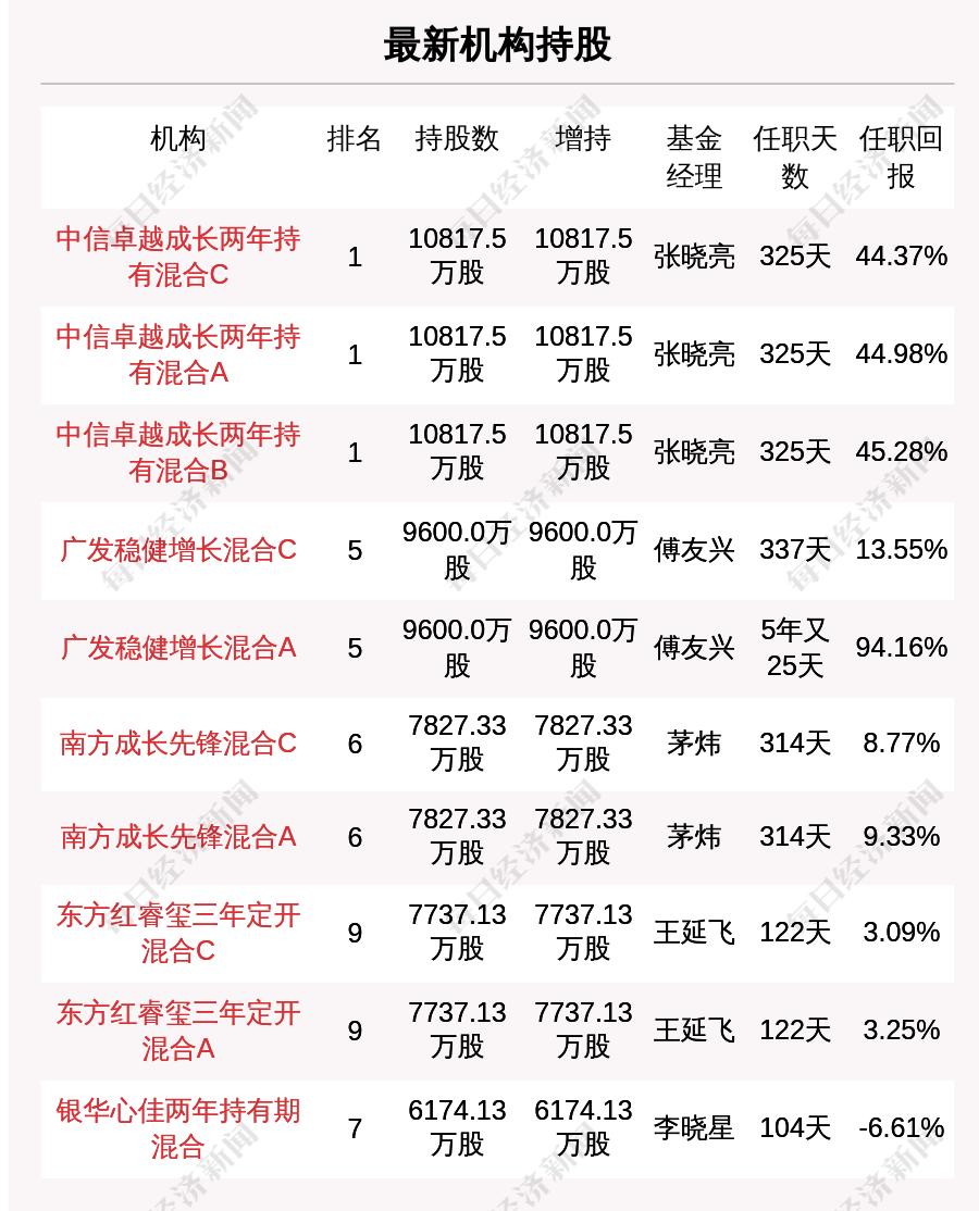 社?；鹬貍}股，心靈與自然的美麗交匯