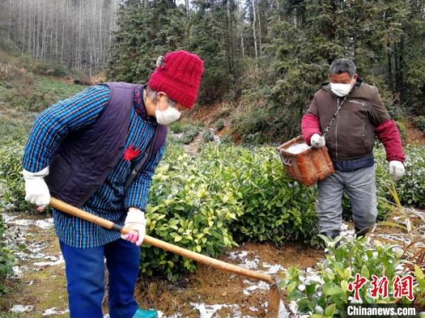 安徽最新防疫措施，科學應(yīng)對，共克時艱