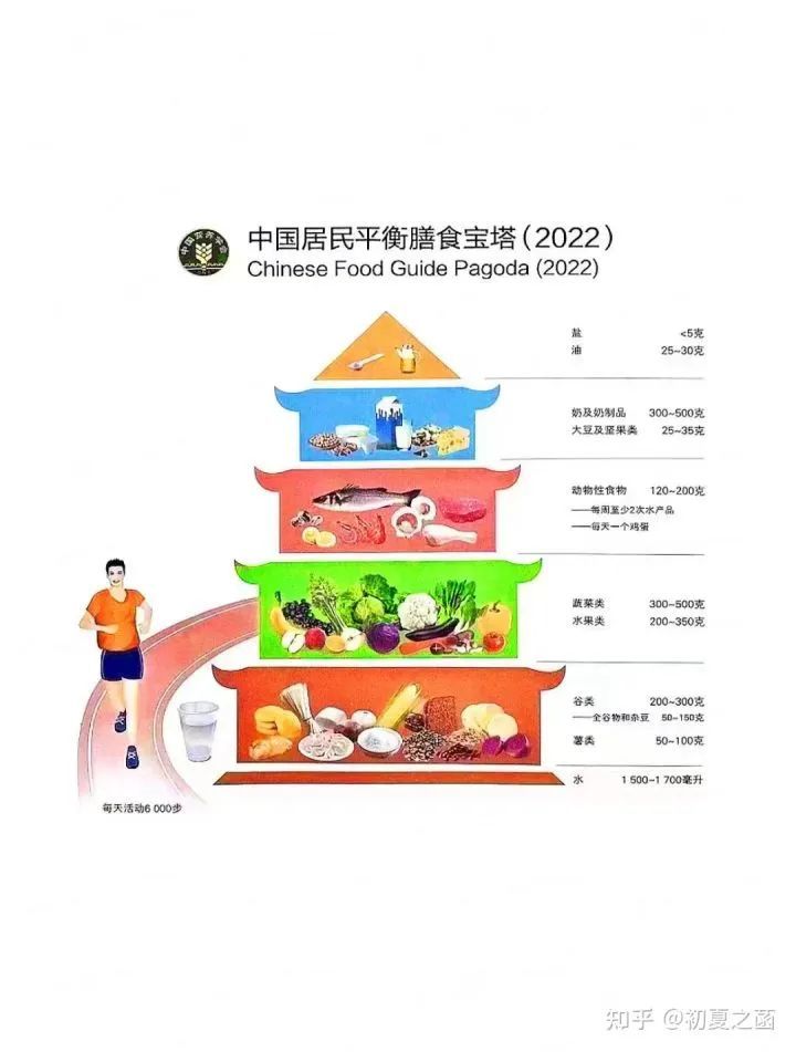 最新2022版膳食指南,最新2022版膳食指南，美食、友情與家的溫馨故事