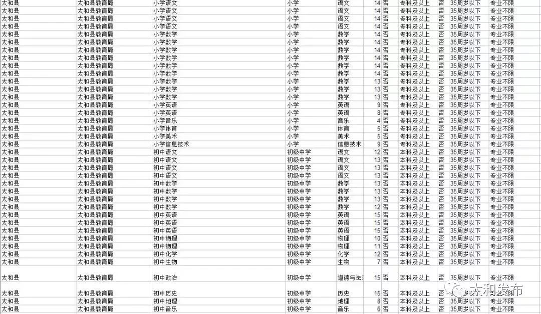 太和縣最新職位招聘探索之旅，小巷中的職業(yè)寶藏之門